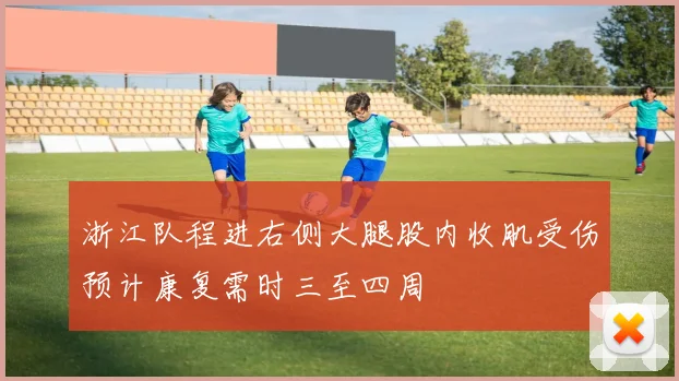 浙江队程进右侧大腿股内收肌受伤预计康复需时三至四周